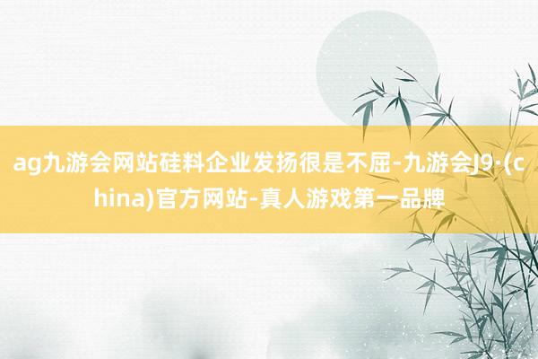 ag九游会网站硅料企业发扬很是不屈-九游会J9·(china)官方网站-真人游戏第一品牌