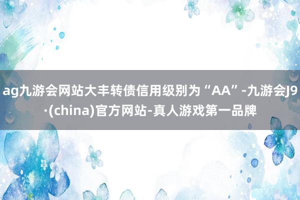 ag九游会网站大丰转债信用级别为“AA”-九游会J9·(china)官方网站-真人游戏第一品牌