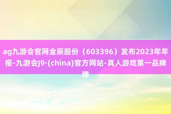 ag九游会官网金辰股份（603396）发布2023年年报-九游会J9·(china)官方网站-真人游戏第一品牌