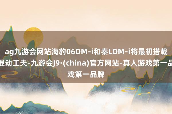 ag九游会网站海豹06DM-i和秦LDM-i将最初搭载该混动工夫-九游会J9·(china)官方网站-真人游戏第一品牌