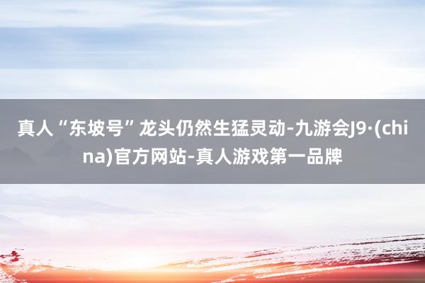 真人“东坡号”龙头仍然生猛灵动-九游会J9·(china)官方网站-真人游戏第一品牌