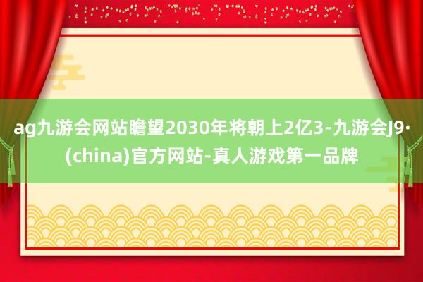 ag九游会网站瞻望2030年将朝上2亿3-九游会J9·(china)官方网站-真人游戏第一品牌