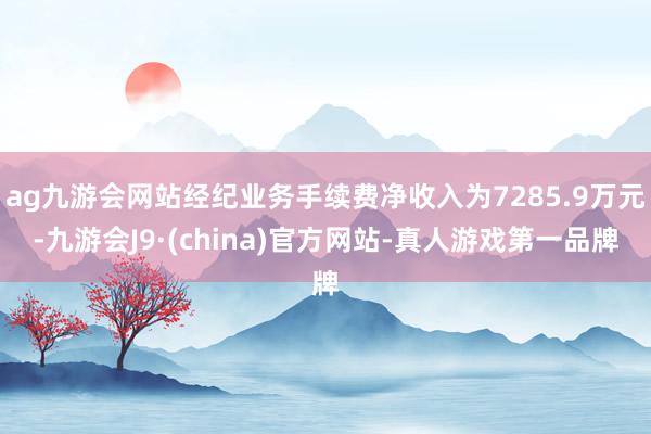 ag九游会网站经纪业务手续费净收入为7285.9万元-九游会J9·(china)官方网站-真人游戏第一品牌