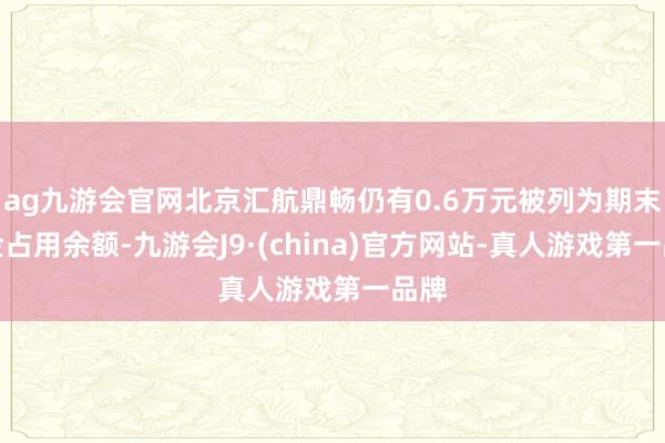 ag九游会官网北京汇航鼎畅仍有0.6万元被列为期末资金占用余额-九游会J9·(china)官方网站-真人游戏第一品牌