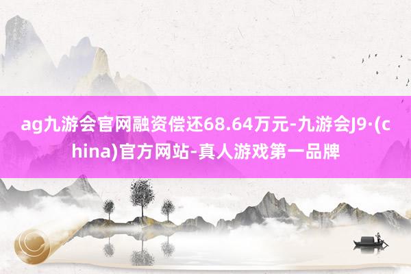 ag九游会官网融资偿还68.64万元-九游会J9·(china)官方网站-真人游戏第一品牌