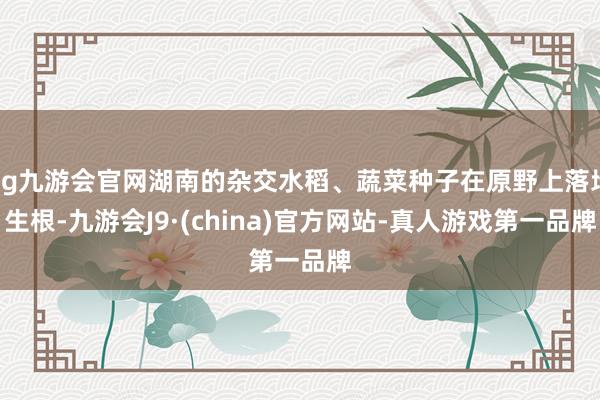 ag九游会官网湖南的杂交水稻、蔬菜种子在原野上落地生根-九游会J9·(china)官方网站-真人游戏第一品牌