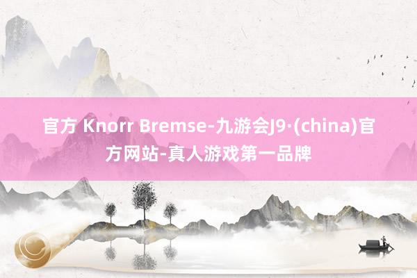 官方 Knorr Bremse-九游会J9·(china)官方网站-真人游戏第一品牌