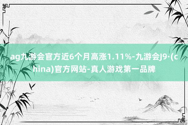 ag九游会官方近6个月高涨1.11%-九游会J9·(china)官方网站-真人游戏第一品牌