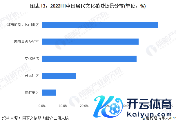 图表13：2022H1中国住户文化破钞场景分散(单元：%)