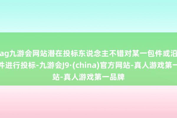 ag九游会网站潜在投标东说念主不错对某一包件或沿路包件进行投标-九游会J9·(china)官方网站-真人游戏第一品牌