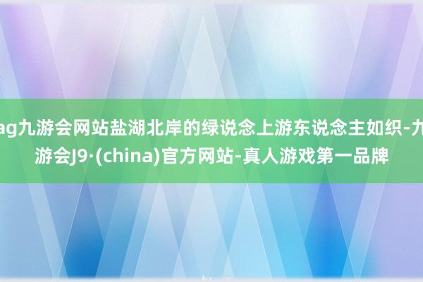 ag九游会网站盐湖北岸的绿说念上游东说念主如织-九游会J9·(china)官方网站-真人游戏第一品牌