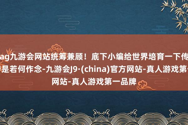 ag九游会网站统筹兼顾！底下小编给世界培育一下传闻搬砖是若何作念-九游会J9·(china)官方网站-真人游戏第一品牌