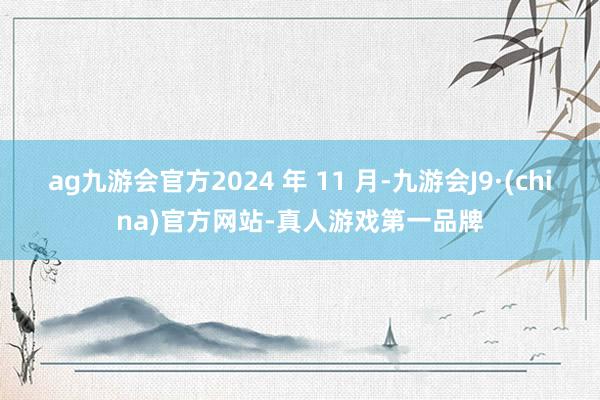 ag九游会官方2024 年 11 月-九游会J9·(china)官方网站-真人游戏第一品牌