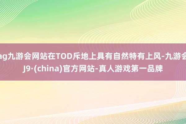 ag九游会网站在TOD斥地上具有自然特有上风-九游会J9·(china)官方网站-真人游戏第一品牌