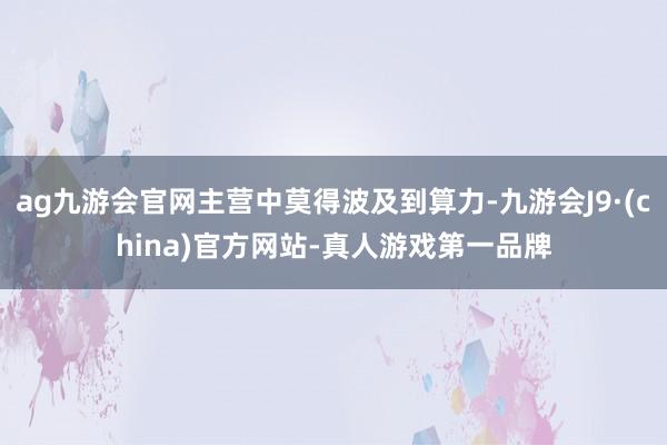 ag九游会官网主营中莫得波及到算力-九游会J9·(china)官方网站-真人游戏第一品牌