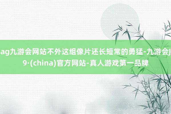 ag九游会网站不外这组像片还长短常的勇猛-九游会J9·(china)官方网站-真人游戏第一品牌